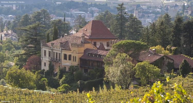 Paysage viticole et résidentiel avec des collines en arrière-plan.
