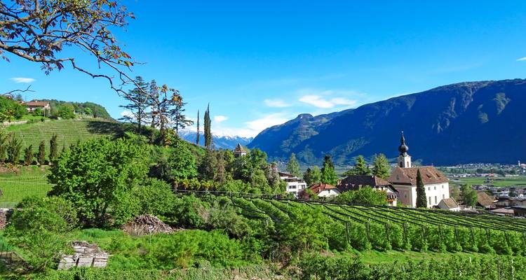 Innsbruck - Lake Garda Fruit and wine on the Adige Cycle Path - ASI Reisen 7