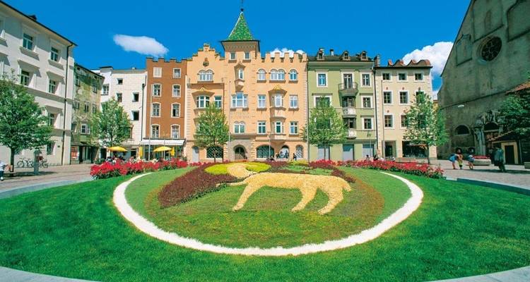 Drau Cycle Path Classic Tour (6 days) - ASI Reisen 7