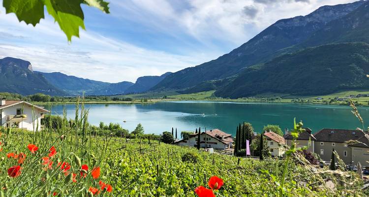 Piste cyclable de l'Adige : Innsbruck - Bolzano (8 jours) - ASI Reisen 2