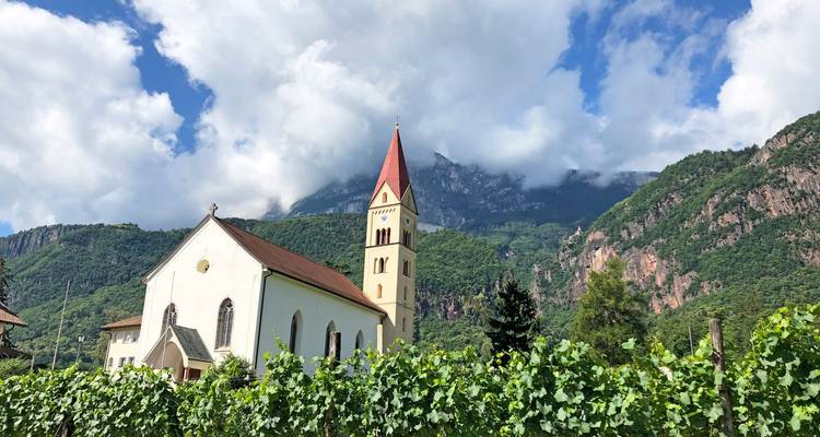 Piste cyclable de l'Adige : Innsbruck - Bolzano (8 jours) - ASI Reisen 9