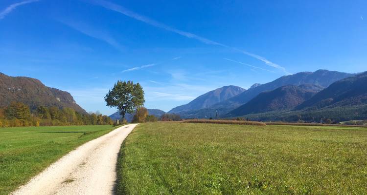Ein malerischer Weg, der durch ein Tal mit Bergen in der Ferne führt.