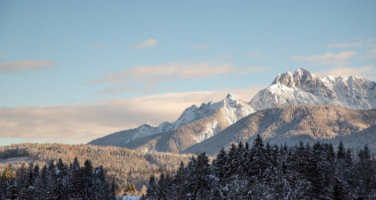 Sneeuwbedekte bergen met dichte dennenbossen.