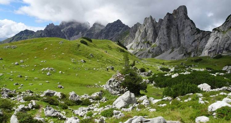 Pré avec des montagnes rocheuses en arrière-plan.