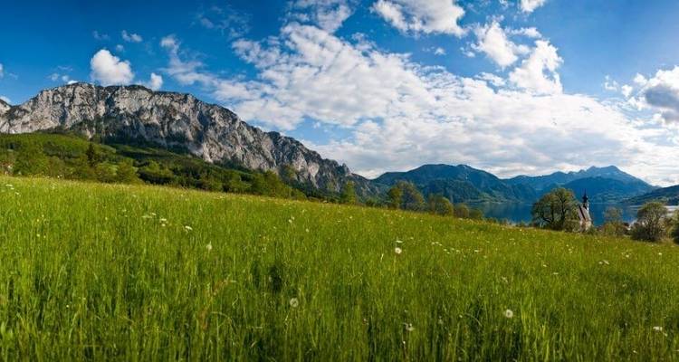 Pré luxuriant avec des montagnes en arrière-plan sous un ciel bleu