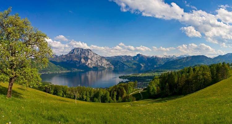 Panoramic lake view with mountains and greens.