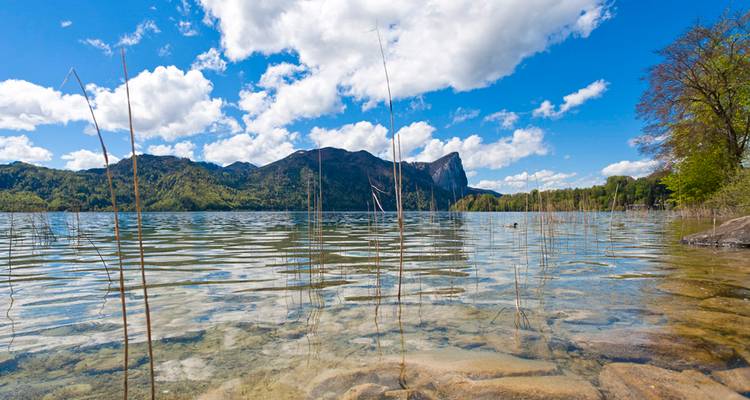 Lake with clear skies and mountain backdrop.