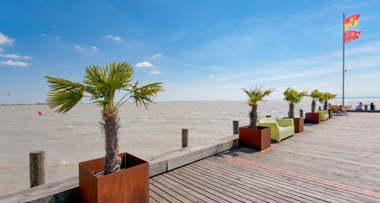 Ein hölzerner Steg mit Palmen an einem See.