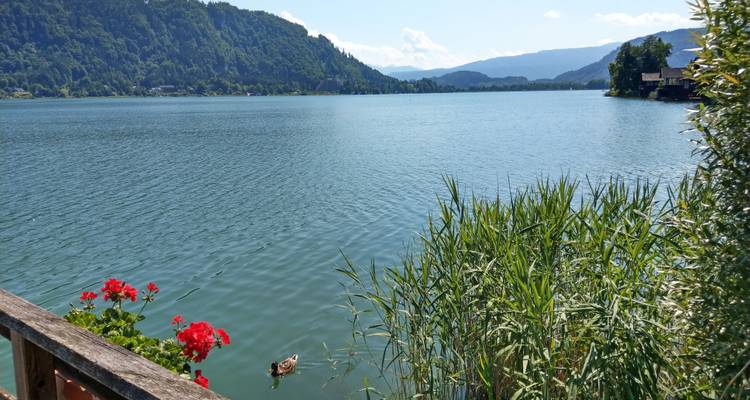 Carinthian Mountains & Lakes in 8 Days - ASI Reisen 2