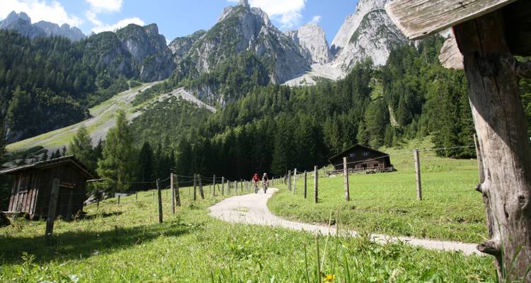 Mountain trail with hikers and a wooden cabin.
