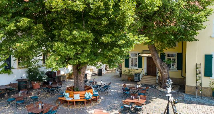 Espace de restauration extérieur sous un grand arbre avec décor rustique.