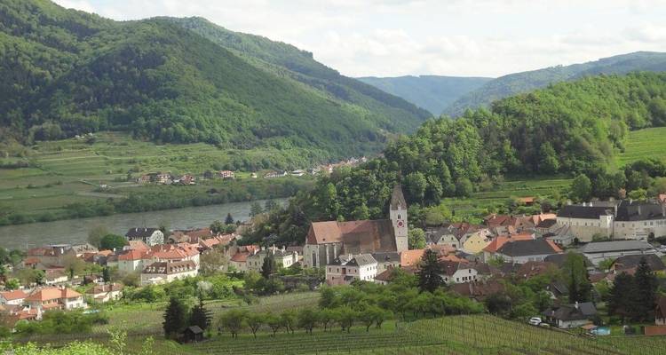 Village avec une rivière et des vignobles entouré de collines vertes.