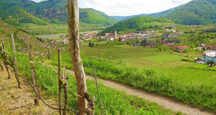 Surplombant une vallée avec des vignobles et un village au-delà.
