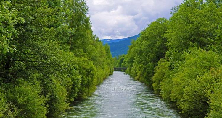A river lined with dense greenery and a bridge visible in the distance.