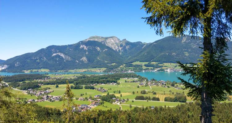 Vue panoramique sur une vallée verdoyante, un lac alpin et des montagnes boisées sous un ciel bleu dégagé