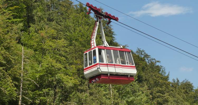 Cable car moving through a forested area.