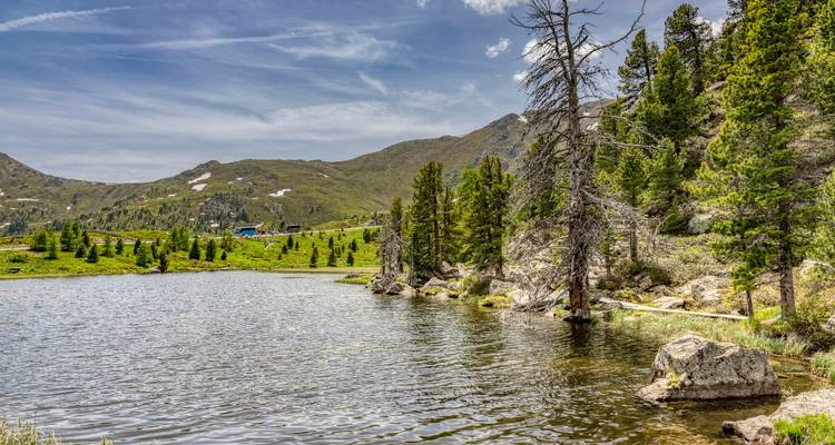Alpine lake with surrounding trees and mountains.