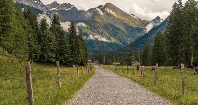 Grindpad door het landschap met bergen op de achtergrond