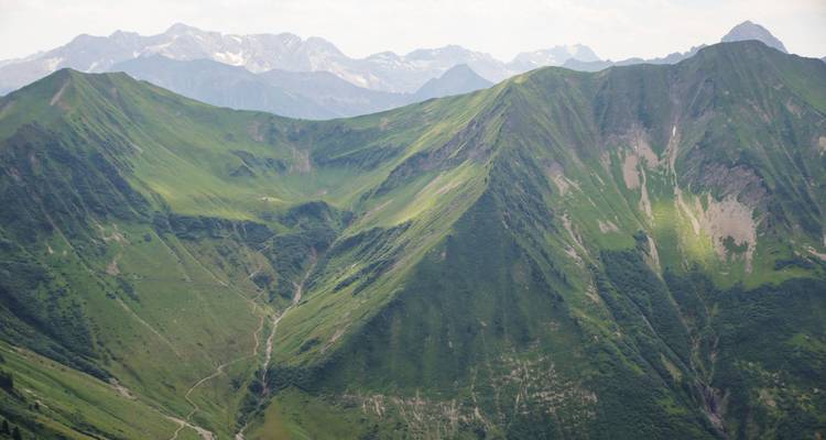 Montagnes vertes luxuriantes au loin.