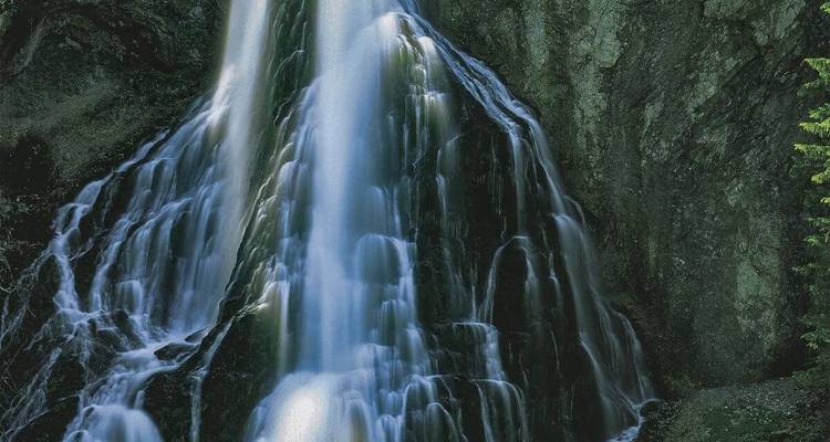 Une cascade qui dévale au milieu d'une végétation luxuriante.