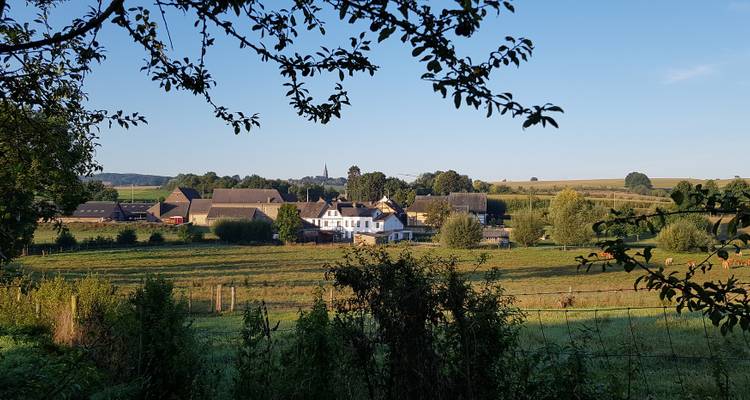 Paisaje rural con granjas y campos abiertos.
