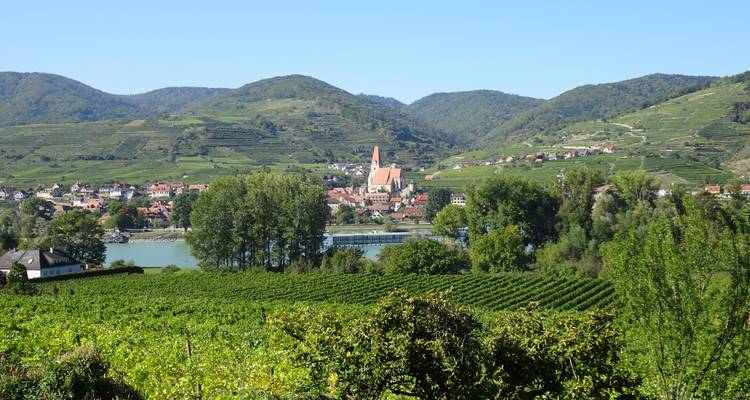 Vue panoramique d'une ville avec des vignobles et des collines.