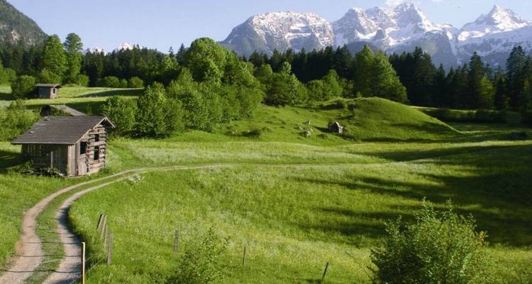 Weelderig veld met bergachtige achtergrond en zonnig weer.