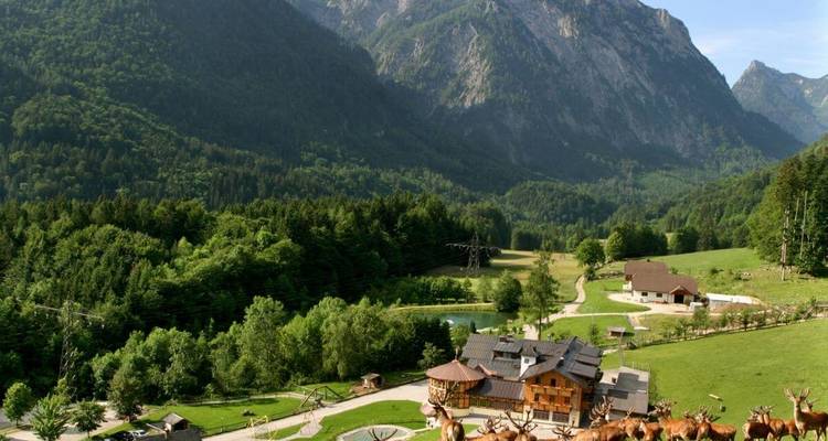 Une zone rurale avec une maison entourée de champs verts et de montagnes.