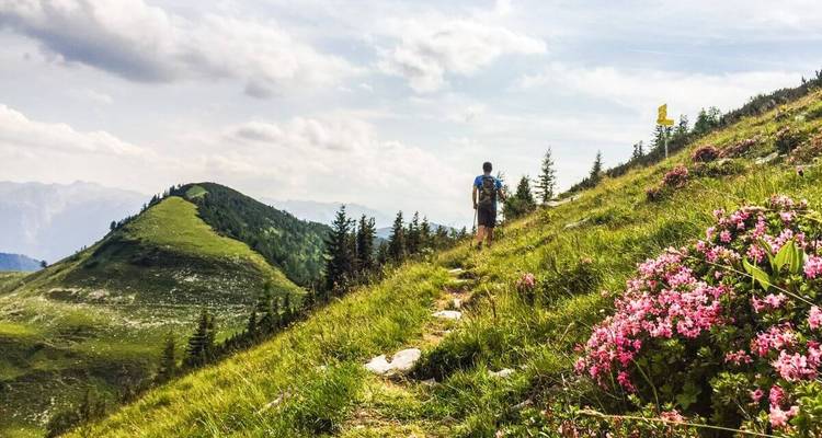 Une personne faisant de la randonnée à travers une végétation luxuriante avec vue sur les montagnes.