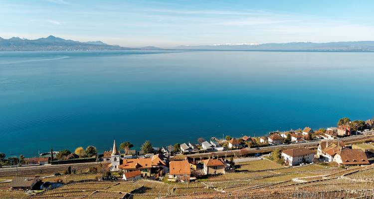 A panoramic view of a lake and surrounding landscape on a clear day.