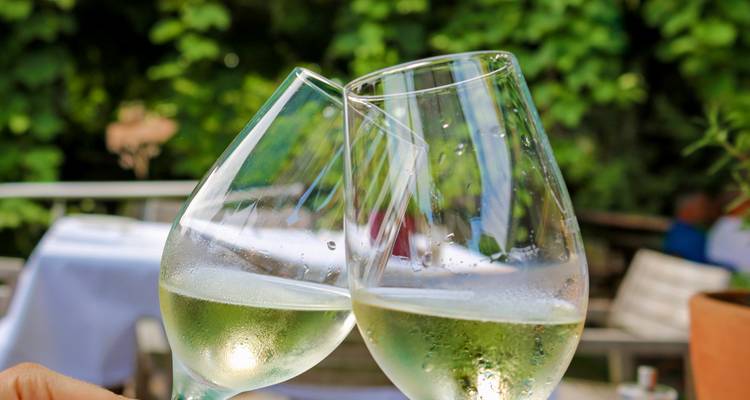 Twee gekoelde witte wijnglazen tikken tegen elkaar aan tegen een achtergrond van een bladrijke groene tuin.