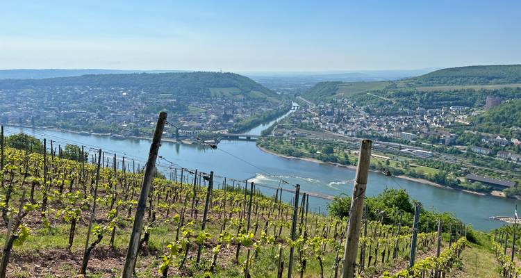 Terrassierte Weinberge überblicken ein breites Flusstal, das mit Städten und sanften Hügeln übersät ist.