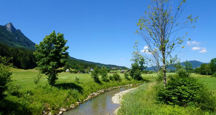 Petit ruisseau coulant à travers un paysage herbeux sous un ciel bleu.