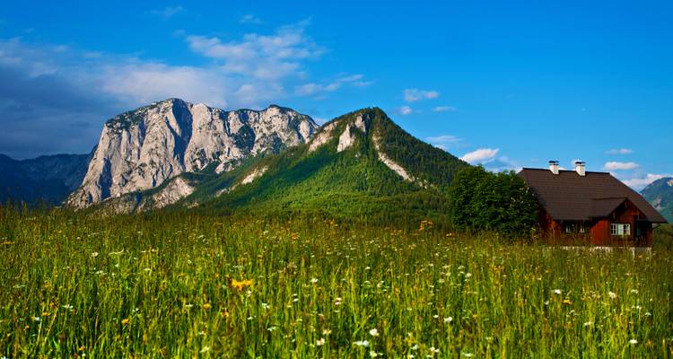 Paysage alpin avec un chalet en bois et vues sur les montagnes.