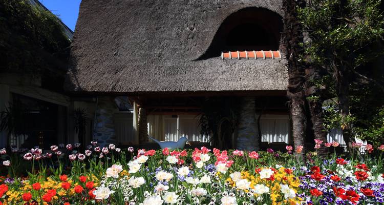 A flower garden with a thatched roof building in the background.