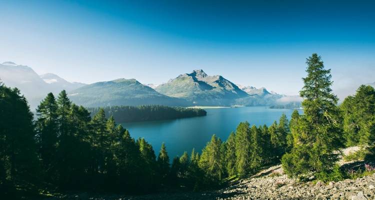 Lac tranquille entouré de forêts denses sous un ciel bleu clair.
