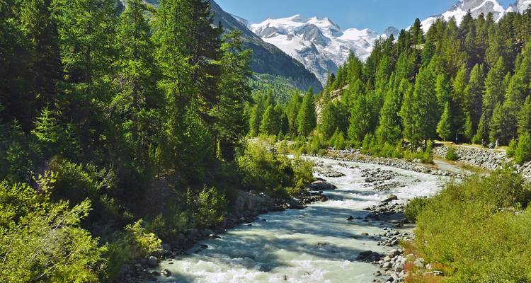 Clear mountain river winding through dense evergreen forest beneath snow-topped peaks.