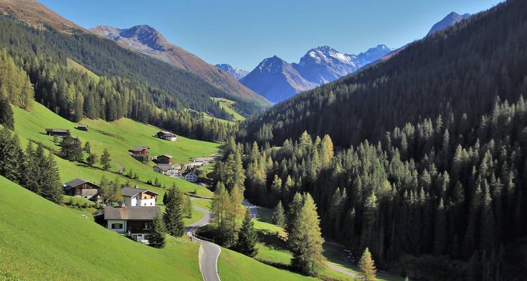 Curving alpine road and scattered farmhouses in a steep, forested Swiss valley.