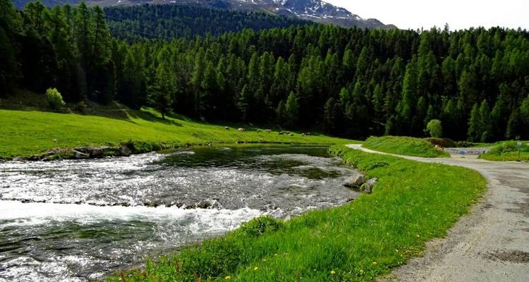 Rivière serpentant à travers une vallée verdoyante avec des montagnes au loin.