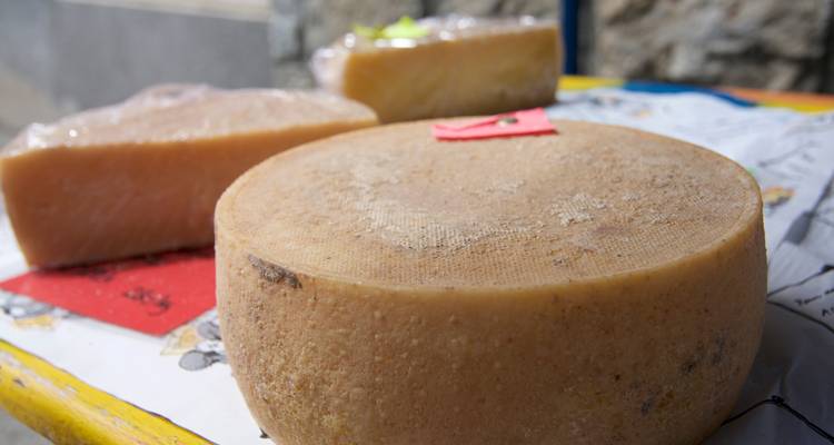 Vue rapprochée de fromages exposés sur une table.