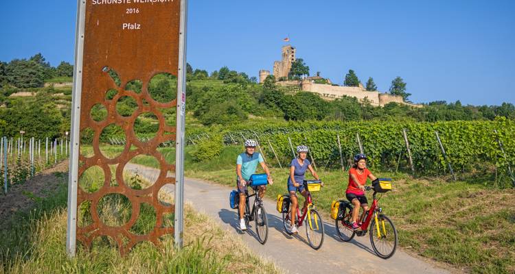 Cyclists ride beneath a metal sign toward a hilltop castle surrounded by vineyards in the Pfalz.