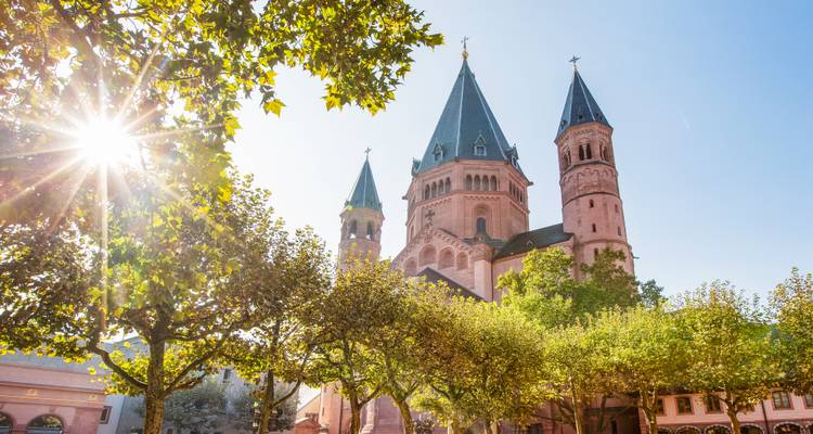 Morning sun bursts through leafy trees illuminating the red-sandstone towers of Worms Cathedral.