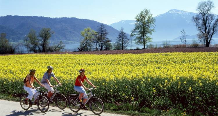 Des cyclistes roulant près de champs de fleurs jaunes avec des montagnes en arrière-plan.