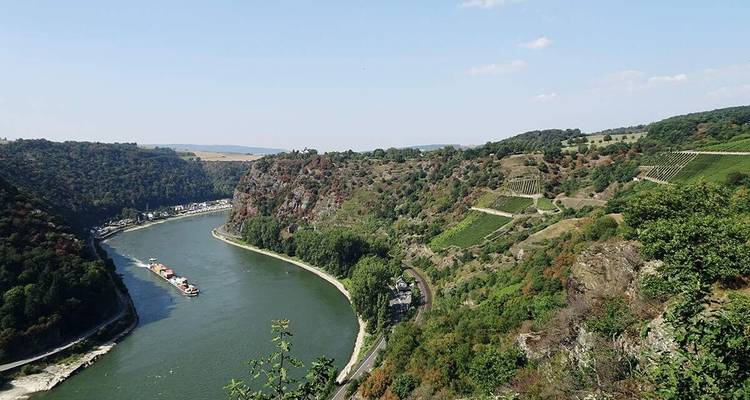 Rivière serpentant à travers un paysage luxuriant