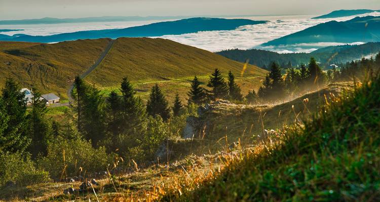 Vue panoramique de montagnes avec un premier plan herbeux sous un ciel dégagé.
