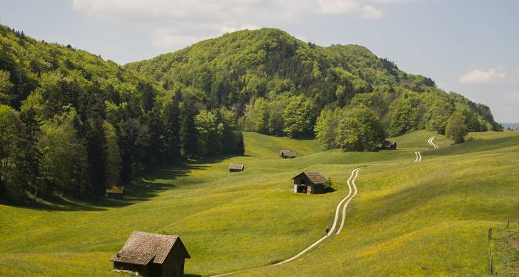 Campagne idyllique avec de petites huttes en bois et des sentiers.