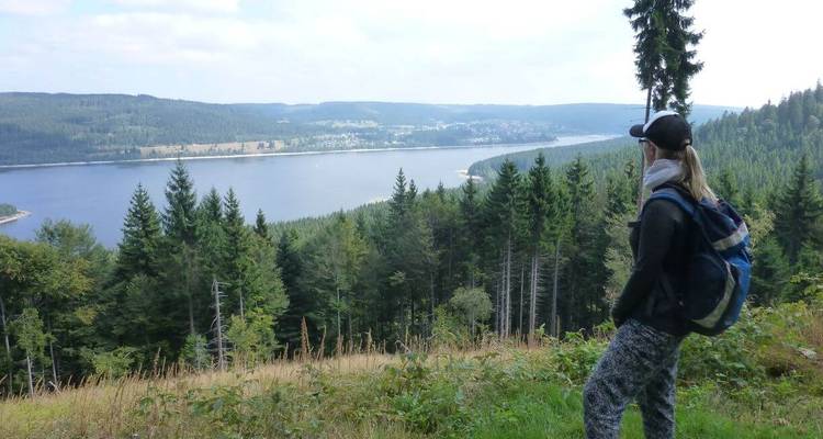 Personne profitant d'une vue surélevée sur un vaste lac et une forêt