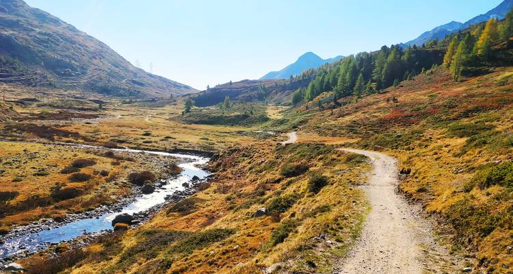 Sentier serpentant à travers une vallée avec des montagnes et un ruisseau.