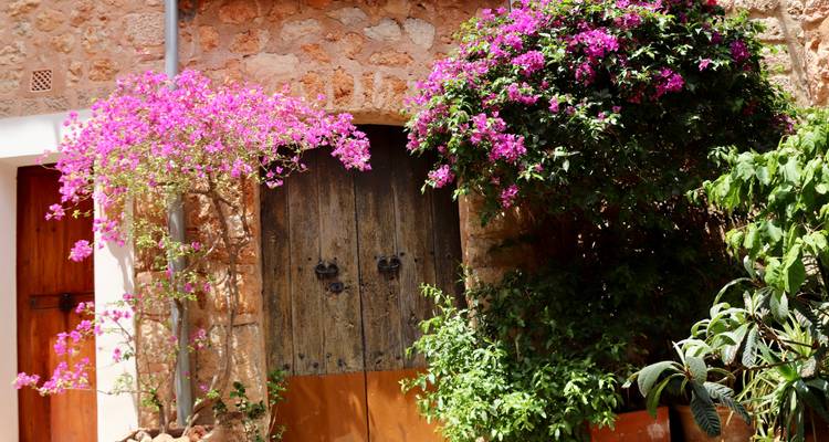 Une porte pittoresque avec des fleurs roses éclatantes dans un village pittoresque.
