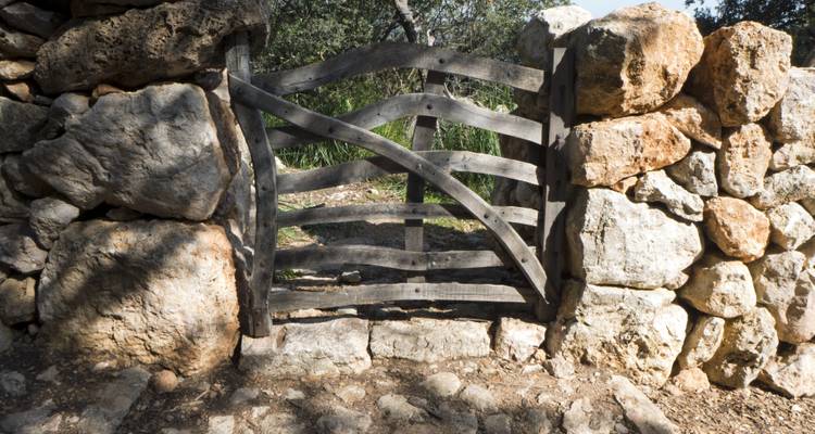 Une vieille porte en bois enchâssée dans un mur de pierre dans un cadre rural.